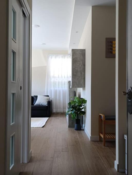 Amplio Y Tranquilo Apartamento Casa Salamanca Eksteriør bilde